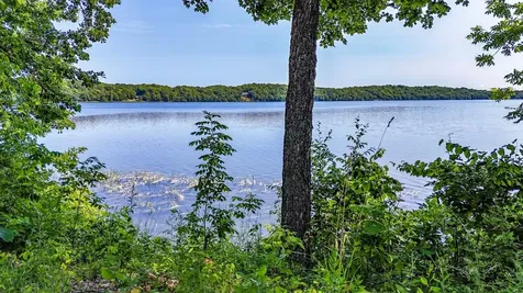 35689 Adams Point Trail Frazee MN 56544