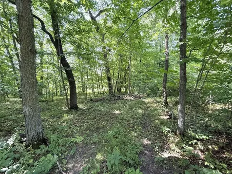 35689 Adams Point Trail Frazee MN 56544