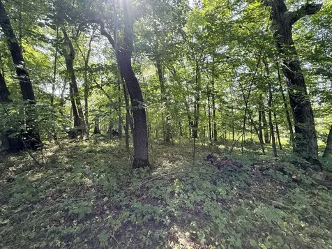 35689 Adams Point Trail Frazee MN 56544