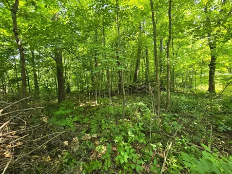 47138 Ringneck Roost Garrison MN 56450