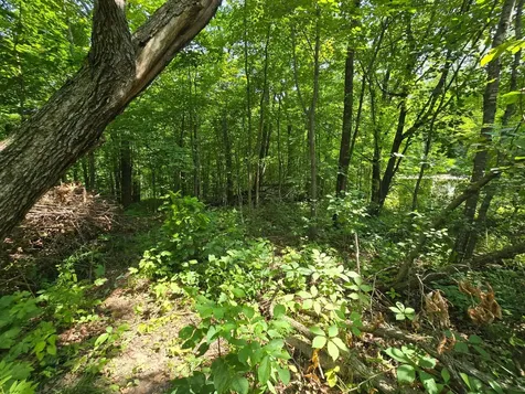 47138 Ringneck Roost Garrison MN 56450