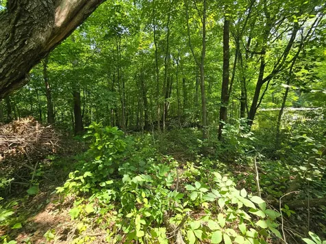 47138 Ringneck Roost Garrison MN 56450