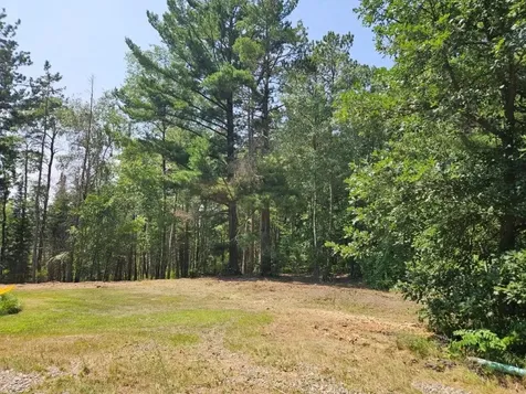 Tbd 330th Street Shevlin MN 56676