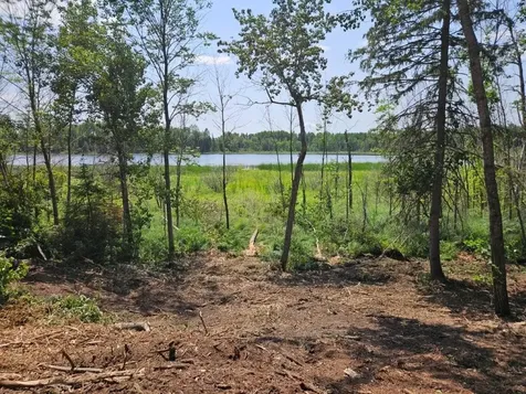 Tbd 330th Street Shevlin MN 56676
