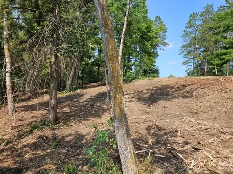 Tbd 330th Street Shevlin MN 56676