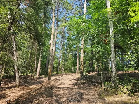 Tbd 330th Street Shevlin MN 56676