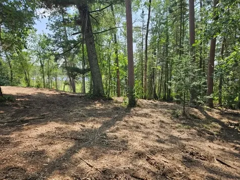 Tbd 330th Street Shevlin MN 56676