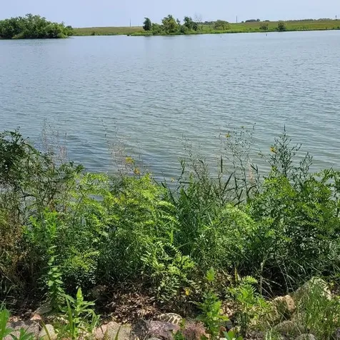 2375 Cottonwood Lake Drive Windom MN 56101