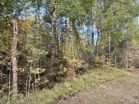 Tbd Old Vermilion Trail Duluth MN 55803