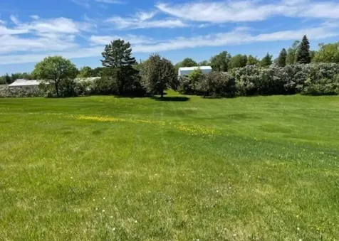 20661 Co Highway 21 Detroit Lakes MN 56501