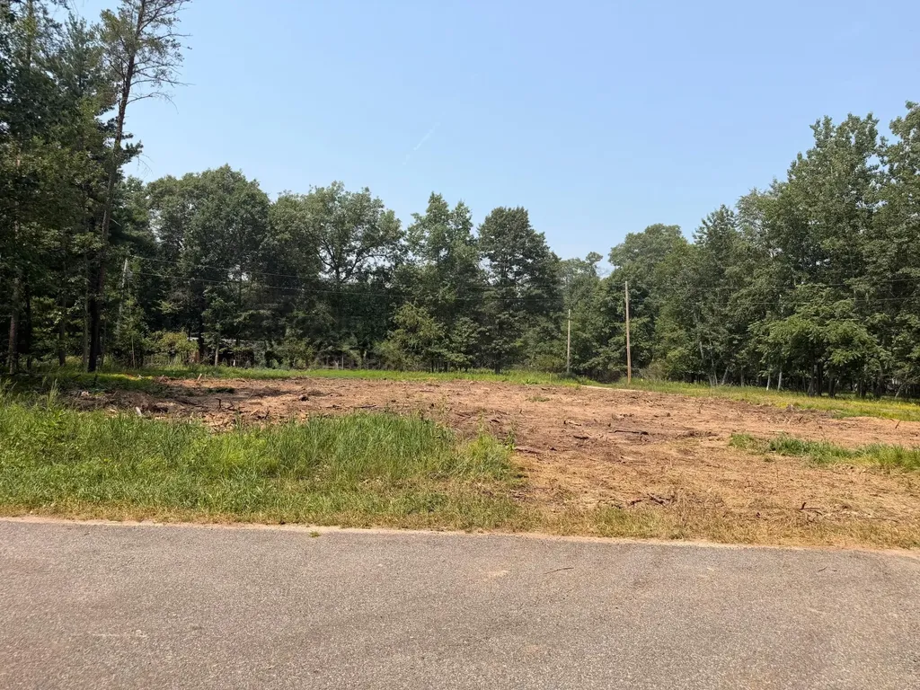Tbd Bayview Place Breezy Point MN 56472