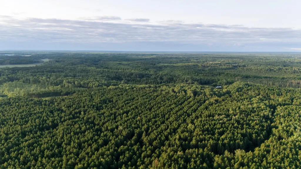Nesw Forest Road 3845 NE Pennington MN 56663