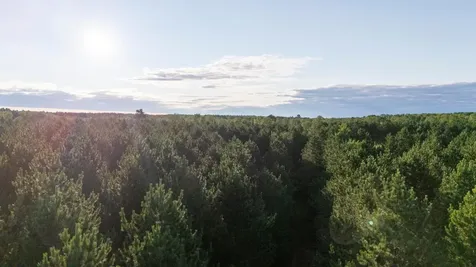 Nesw Forest Road 3845 NE Pennington MN 56663