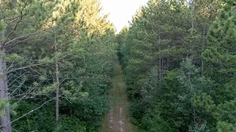 Nesw Forest Road 3845 NE Pennington MN 56663