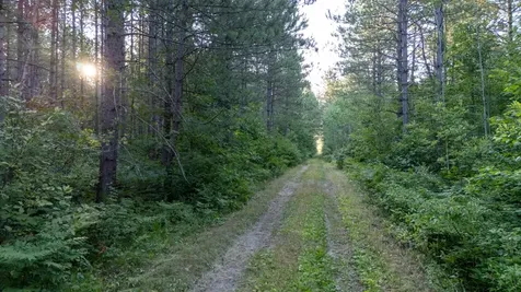Nesw Forest Road 3845 NE Pennington MN 56663