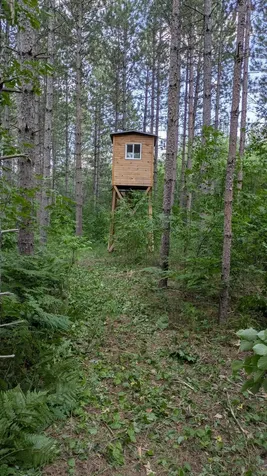 Nesw Forest Road 3845 NE Pennington MN 56663