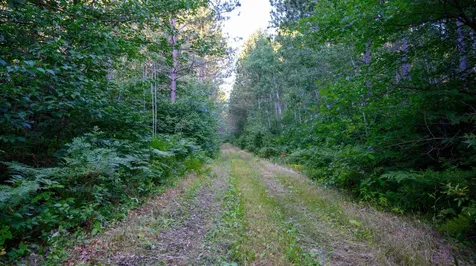 Nesw Forest Road 3845 NE Pennington MN 56663