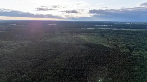 Nesw Forest Road 3845 NE Pennington MN 56663