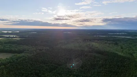 Nesw Forest Road 3845 NE Pennington MN 56663
