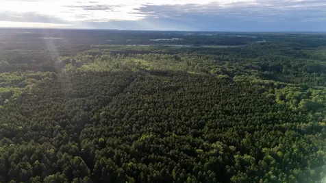 Nesw Forest Road 3845 NE Pennington MN 56663