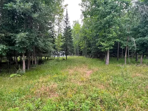 42228 County Road 234 Cohasset MN 55721