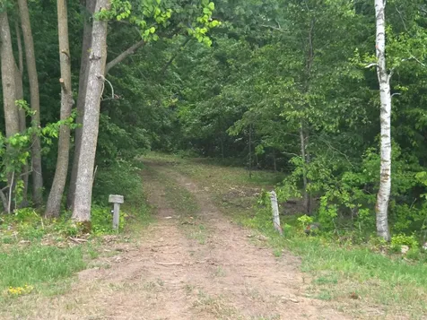 Tbd Co Road 149 Detroit Lakes MN 56501