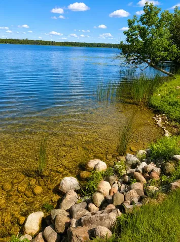 49410 Center Point Road Bigfork MN 56628