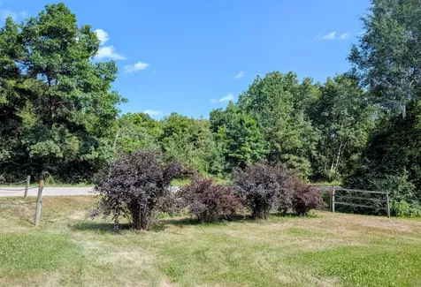16551 241st Avenue Long Prairie MN 56347