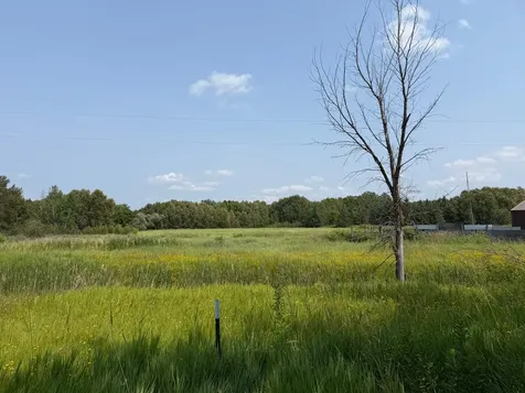 1985 63rd Street SW Baudette MN 56623