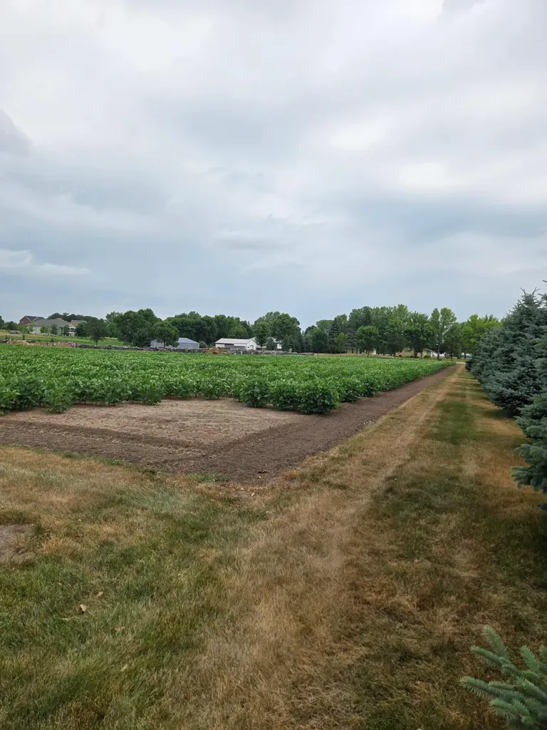 1164 3rd Street S Sartell MN 56377