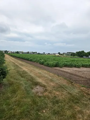 1164 3rd Street S Sartell MN 56377