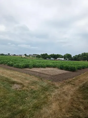 1164 3rd Street S Sartell MN 56377