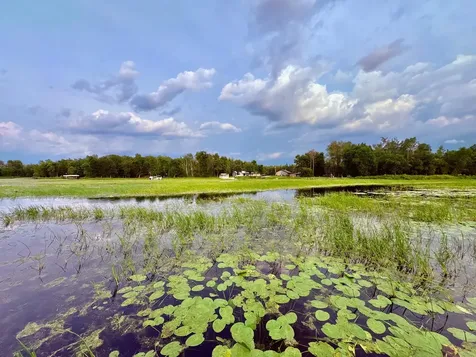 6483 Walleye Lane NW Williams MN 56686