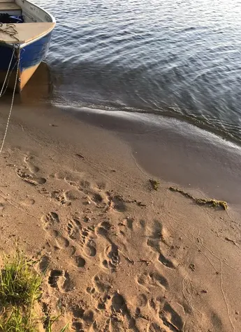 Tbd Excelsior Island Cross Lake MN 56442