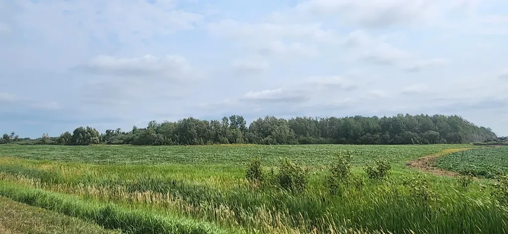 Tbd 330th Avenue NE Goodridge MN 56725
