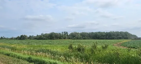 Tbd 330th Avenue NE Goodridge MN 56725