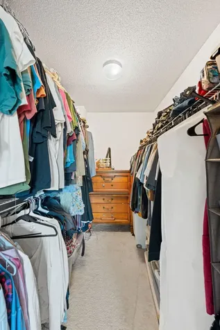 1229 Highpoint Curve Shakopee MN 55379