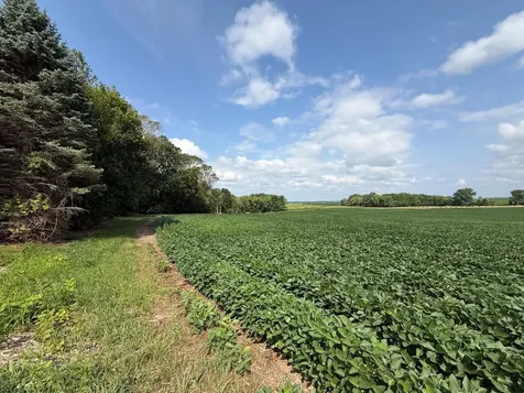 Lot A Lehigh Road Cottage Grove MN 55016