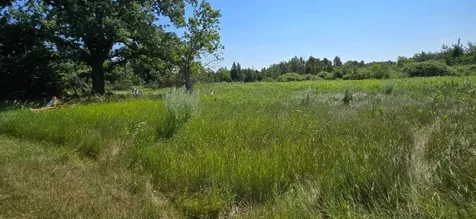 7 County Road 7 Verndale MN 56481