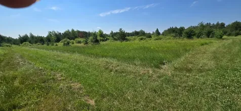 7 County Road 7 Verndale MN 56481