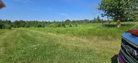 7 County Road 7 Verndale MN 56481
