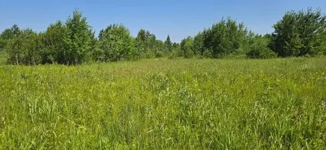 7 County Road 7 Verndale MN 56481