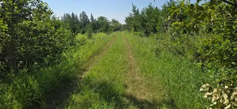 7 County Road 7 Verndale MN 56481