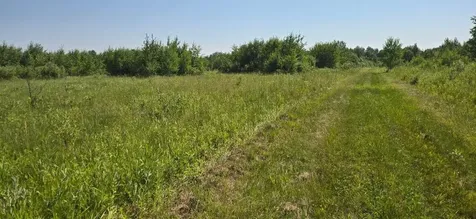 7 County Road 7 Verndale MN 56481