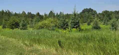 7 County Road 7 Verndale MN 56481
