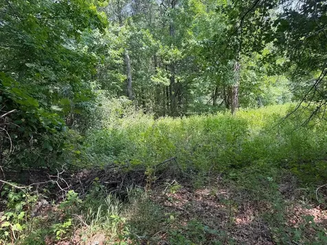 21920 County 2 Nevis MN 56467
