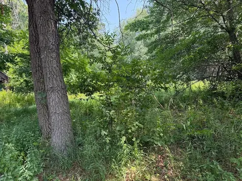 21920 County 2 Nevis MN 56467