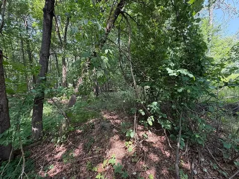 21920 County 2 Nevis MN 56467