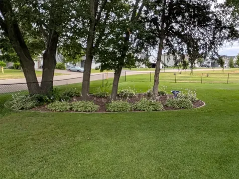 15235 Yellow Pine Street NW Andover MN 55304