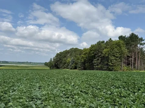 Lot B Lehigh Road Cottage Grove MN 55016
